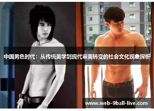 中国男色时代：从传统美学到现代审美转变的社会文化现象探析