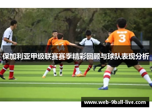 保加利亚甲级联赛赛季精彩回顾与球队表现分析